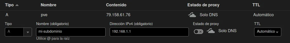 Añadimos un registro DNS con una IP privada temporal