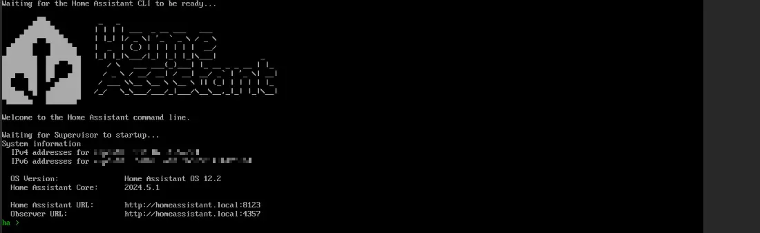 Terminal de Home Assistant OS